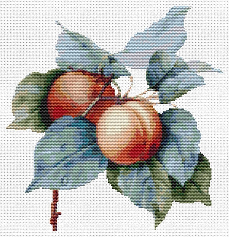 Apricots Counted Cross Stitch Kit Pierre-Joseph Redouté