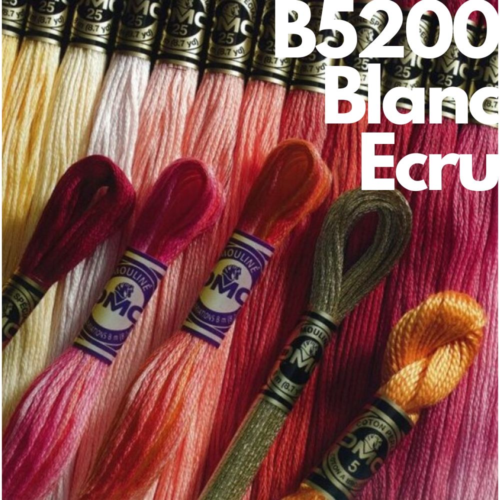 DMC Thread Art 117 (B5200, Blanc, Ecru) The Art of Stitch