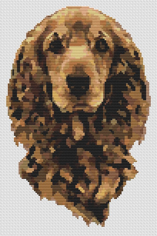 Portrait of a Dog Counted Cross Stitch Kit The Art of Stitch