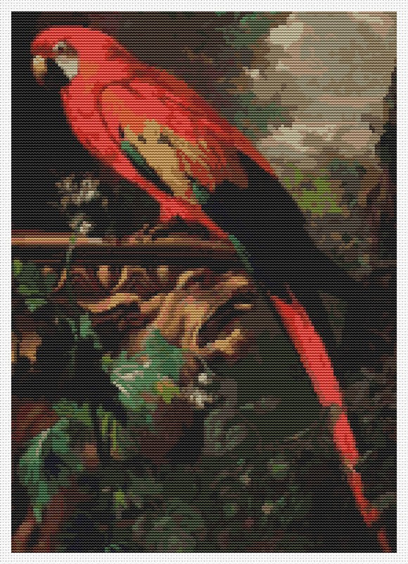 A Scarlet Macaw in a Landscape Counted Cross Stitch Pattern Jakob Bogdany