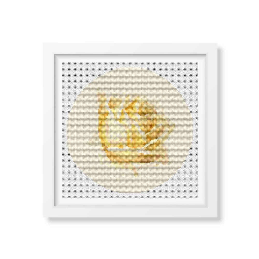 Study of a Rose Counted Cross Stitch Kit Paul de Longpre