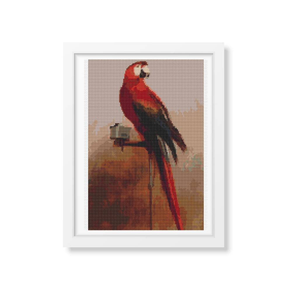 Study of a Parrot Counted Cross Stitch Pattern George Cole