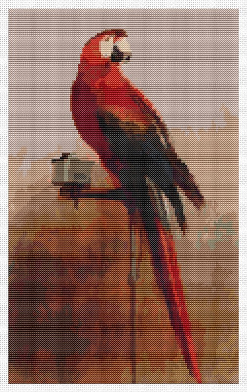 Study of a Parrot Counted Cross Stitch Pattern George Cole