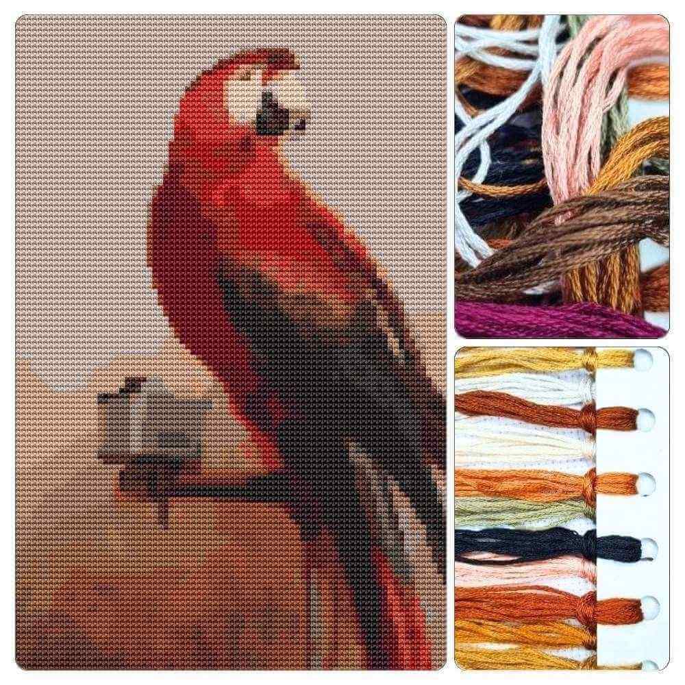 Study of a Parrot Cross Stitch Kit - Premium Cross Stitch Kit - George Cole
