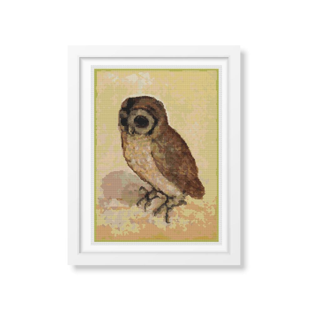 The Brown Owl Counted Cross Stitch Kit Albrecht Durer