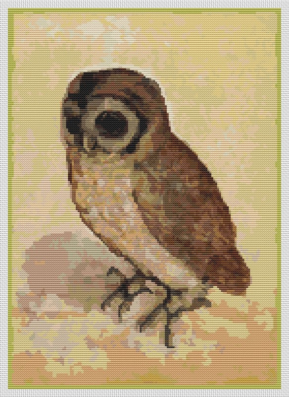 The Brown Owl Counted Cross Stitch Kit Albrecht Durer