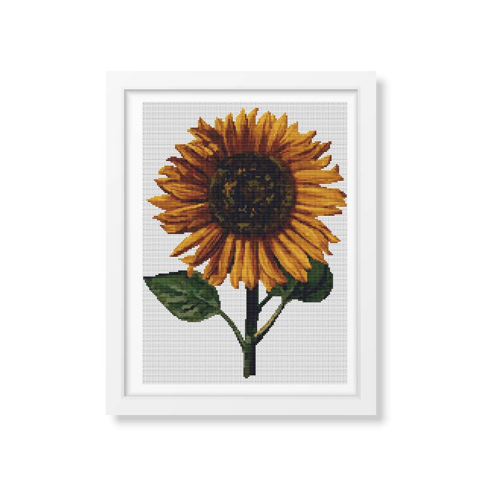 Sunflower Counted Cross Stitch Kit Daniel Froesch