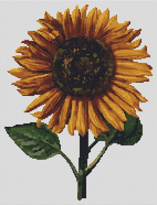 Sunflower Counted Cross Stitch Pattern Daniel Froesch