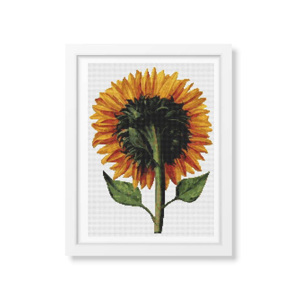 Sunflower Seen from the Back Counted Cross Stitch Pattern Daniel Froesch