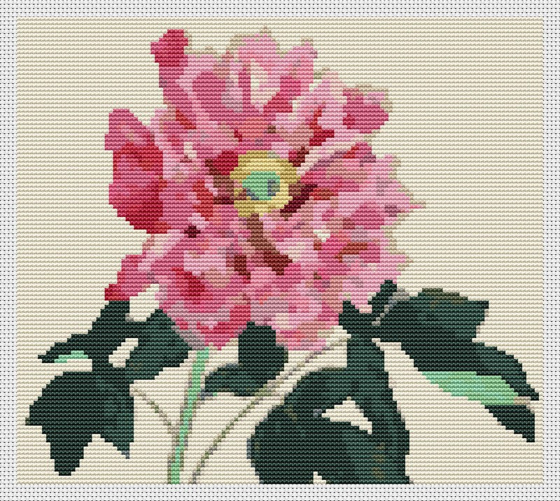 Peonies Counted Cross Stitch Pattern Tanigami Konan