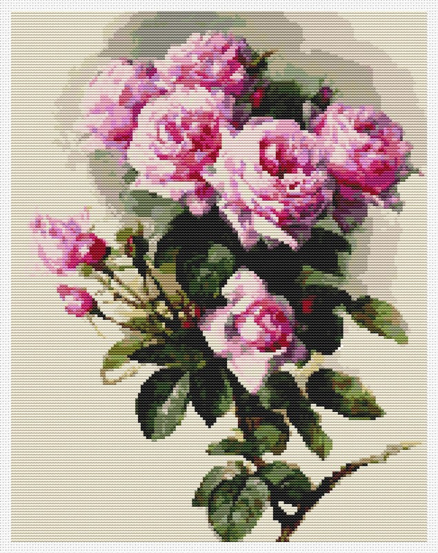 Roses and Bumblebees Counted Cross Stitch Kit Paul de Longpre