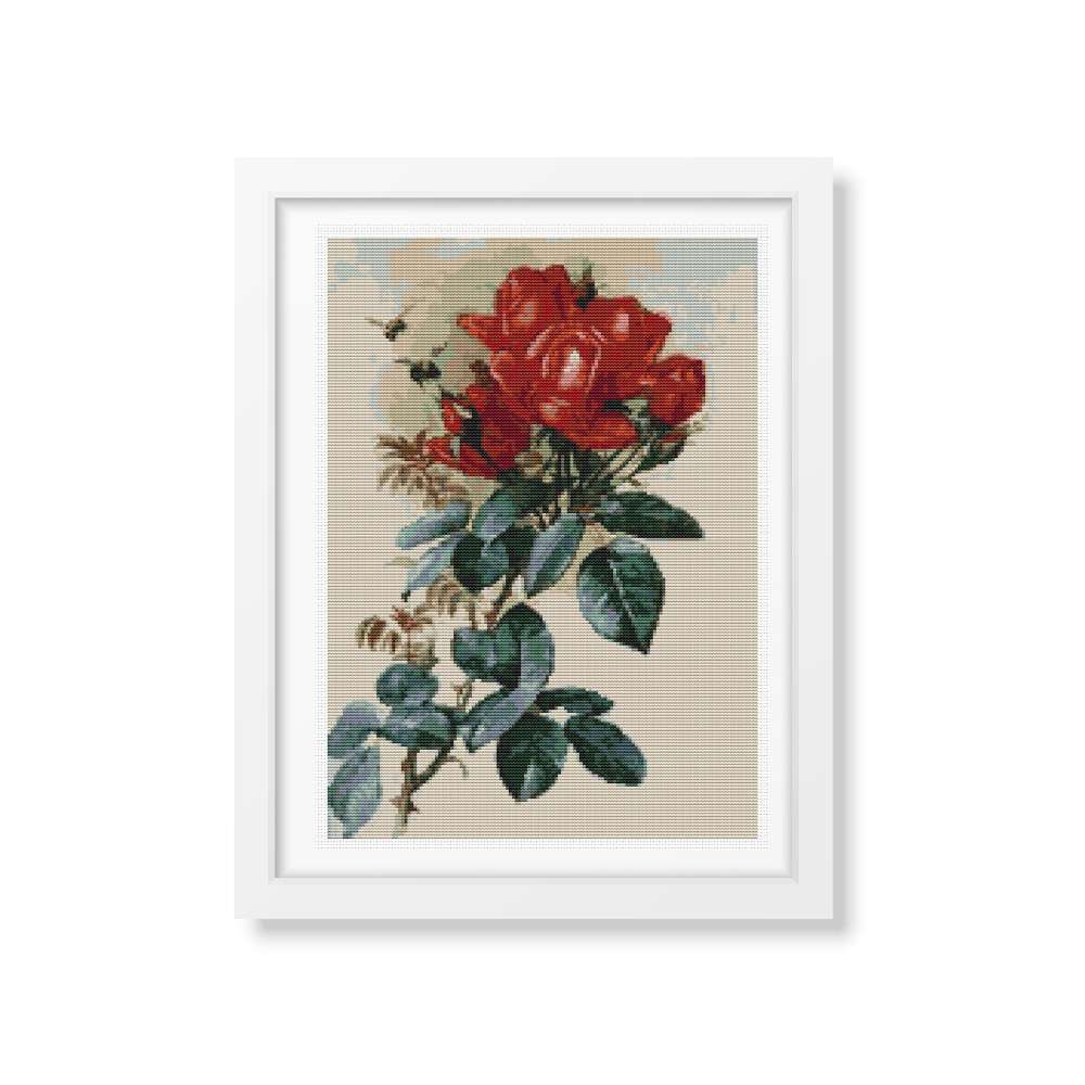 Roses Counted Cross Stitch Pattern Paul de Longpre