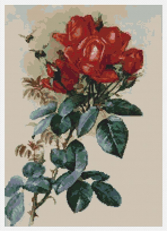 Roses Counted Cross Stitch Pattern Paul de Longpre
