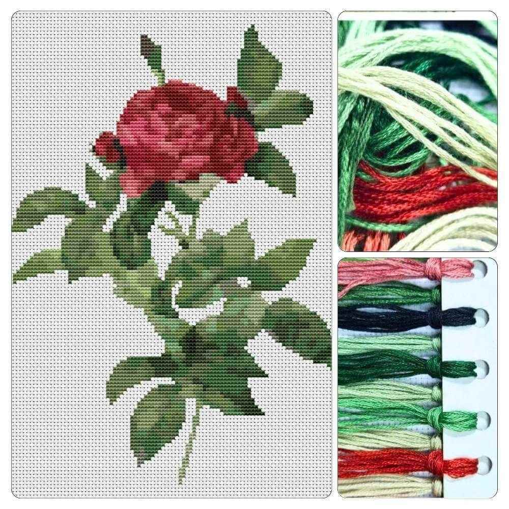 Rosa Gallica Pontiana Cross Stitch Kit - Premium Cross Stitch Kit - Pierre - Joseph Redouté