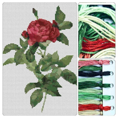 Rosa Gallica Pontiana Cross Stitch Kit - Premium Cross Stitch Kit - Pierre - Joseph Redouté