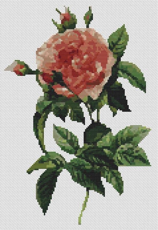 Rosa Gallica Regalis Counted Cross Stitch Kit Pierre-Joseph Redouté