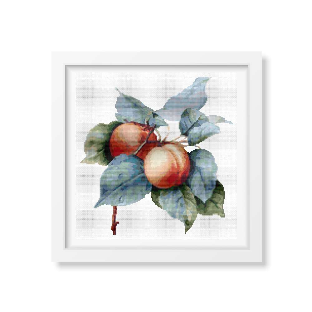 Apricots Counted Cross Stitch Kit Pierre-Joseph Redouté