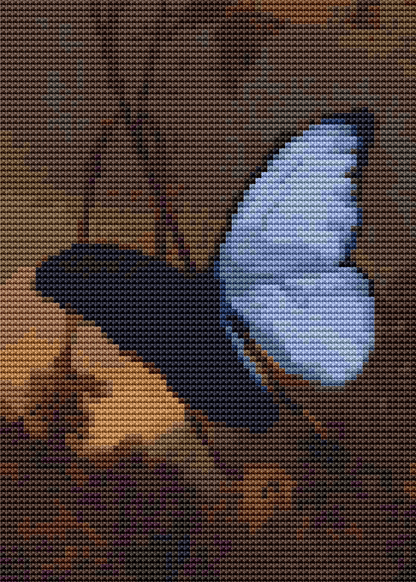 Blue Morpho Butterfly Mini Cross Stitch Kit - Mini Cross Stitch Kit - Martin Johnson Heade